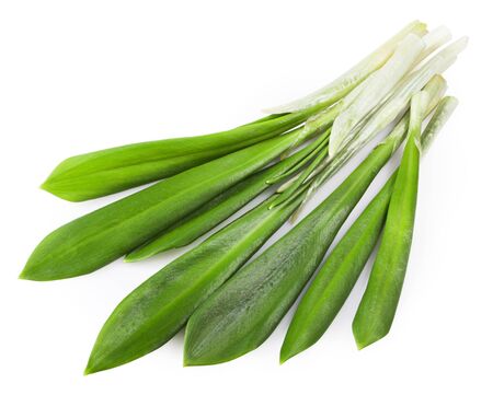 green wild garlic isolated on the white background. Clipping Pathの写真素材