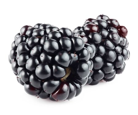Two ripe blackberry isolated on white backgroundの写真素材
