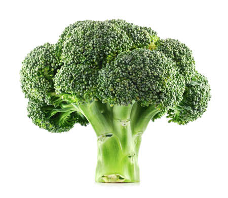 Fresh Broccoli isolated on a white background.の写真素材