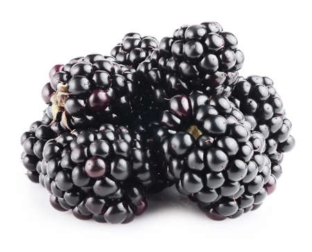 Fresh ripe blackberry isolated on white backgroundの写真素材