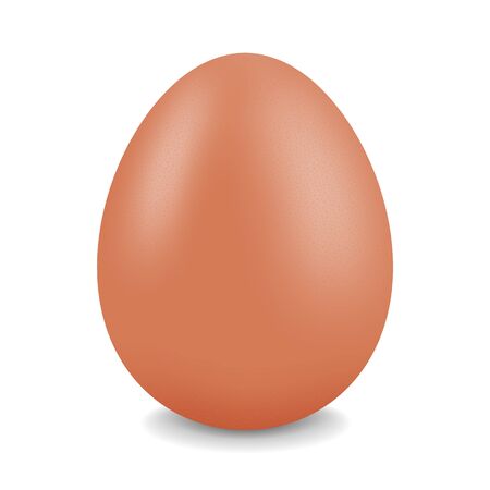 Whole chicken egg. Realistic vectorのイラスト素材