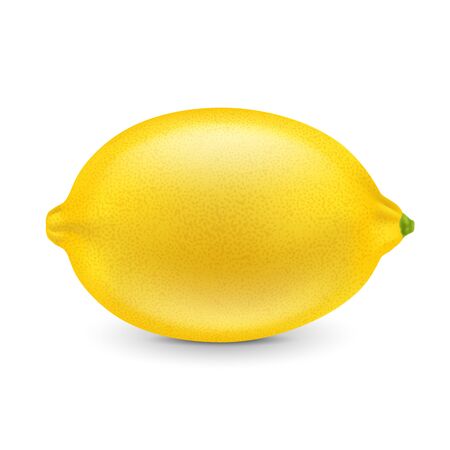 Fresh lemon isolated on a white background. Photorealistic Vectorのイラスト素材