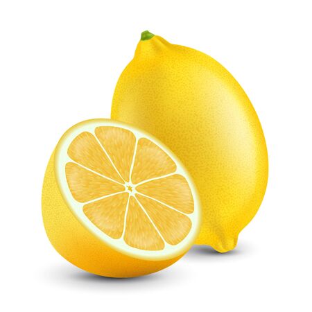 Fresh lemon isolated on a white background. Photorealistic Vectorのイラスト素材