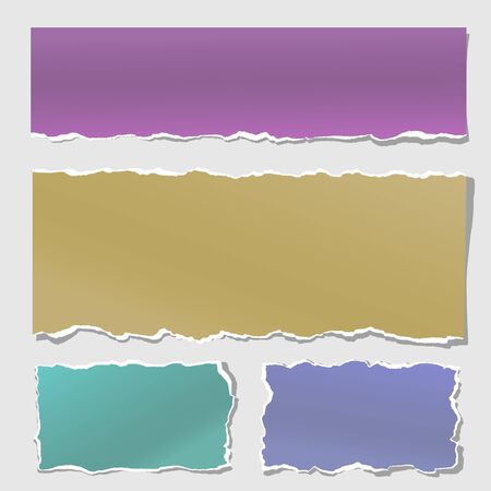 Ripped strips, notebook, note paper for text or message のイラスト素材