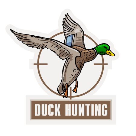 Mallard duck vector sketch wild bird iconのイラスト素材