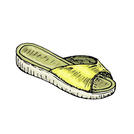 Stylish, modern beautiful vector women's shoesのイラスト素材