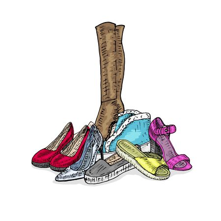 Stylish, modern beautiful vector women's shoesのイラスト素材