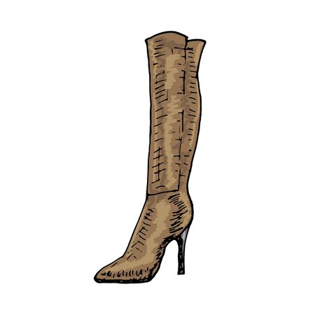 Stylish, modern beautiful vector women's shoesのイラスト素材