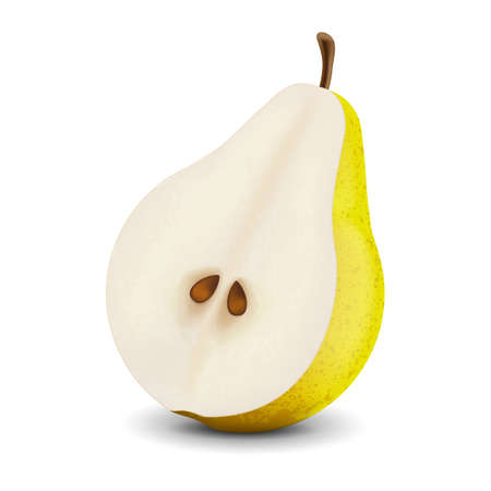Vector realistic fresh pear on a white backgroundのイラスト素材