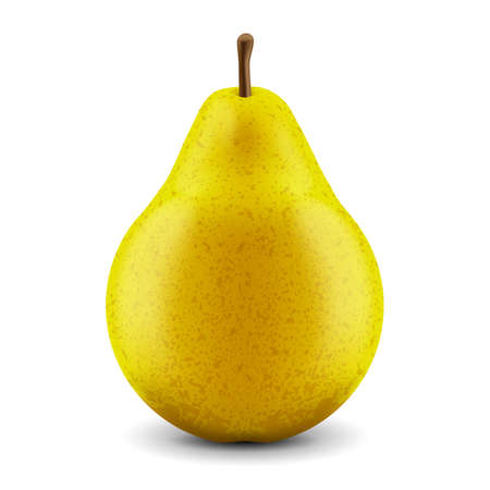 Vector realistic fresh pear on a white backgroundのイラスト素材