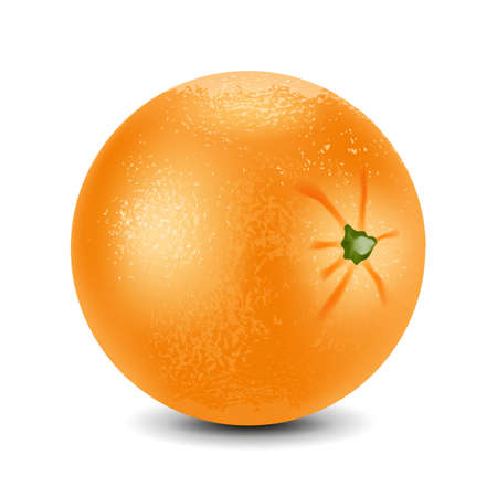 Fresh orange isolated on white backgroundのイラスト素材