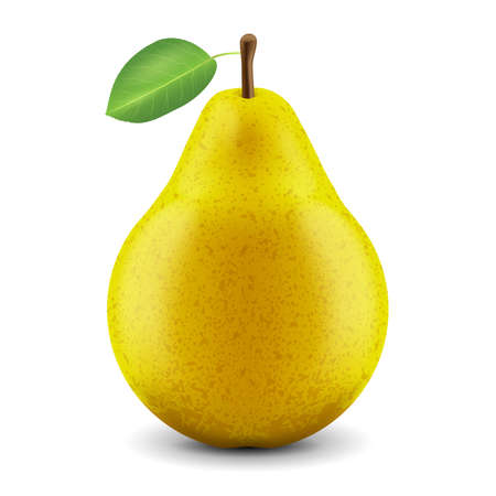 Vector realistic fresh pear on a white backgroundのイラスト素材