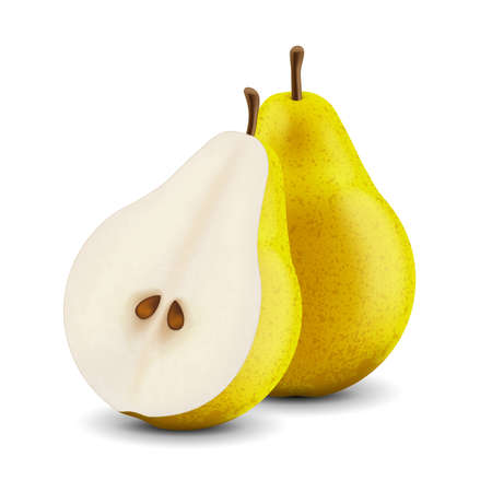 Vector realistic fresh pear on a white backgroundのイラスト素材