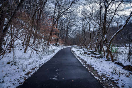 A walk down a wintery pathの写真素材