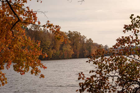 A view of the pond as seen in the autumnal colorsの写真素材