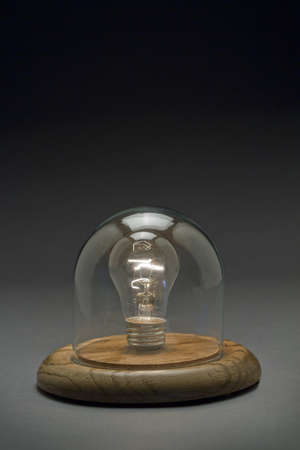 Light bulb inside a dome, verticalの写真素材