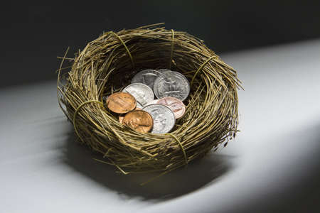 Coins inside a bird s nest, horizontalの写真素材