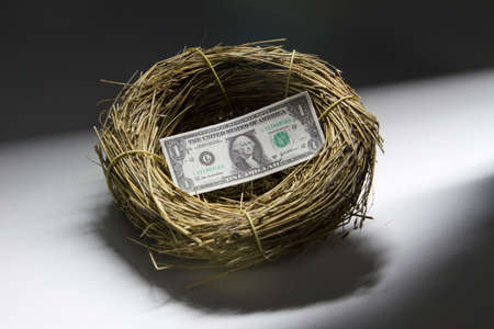 One dollar bill inside a bird s nest, horizontalの写真素材