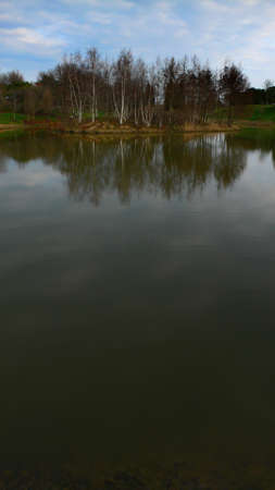 Nature scene  lake and the woods, vertical