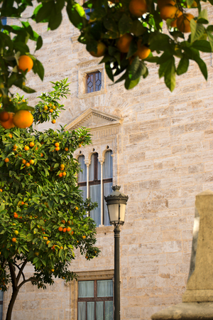 Palau de la Generalitat, Plaoca Sant Jaume, Gothic quarter, Barcelona, Catalonia, Spainの写真素材