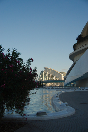 The Science Museum in Valencia's City of Arts and Sciencesのeditorial素材