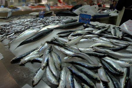 Mackerel in Valencia Central Market, Spain.の写真素材