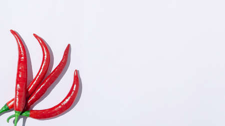 Red chilli peppers on white background. Minimal top view concept. Copy space.の写真素材