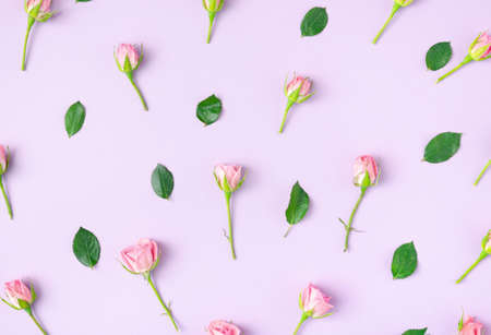 Creative layout pattern made with pastel pink roses and green leaves on soft violet background. Nature flat lay. Minimal spring concept.の写真素材
