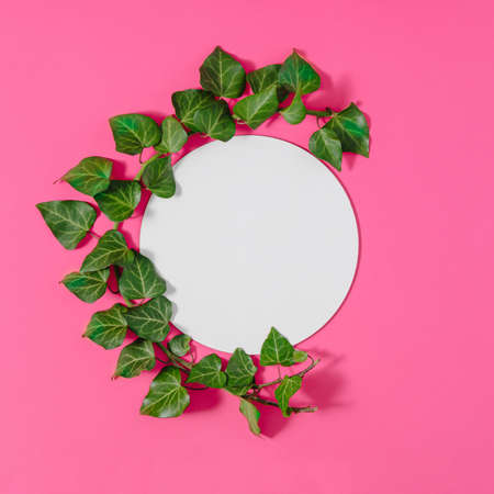 Creative spring or summer layout made of natural green branch and round frame layout for copy space. Flat lay. Pink background.の写真素材