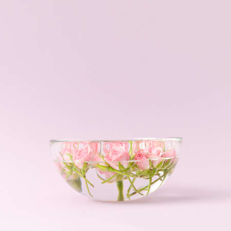 Spring concept made with floating pink roses in aromatherapy bowl with water. Minimal concept. Pastel pink background.の写真素材