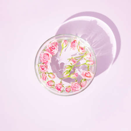 Floating pink roses in aromatherapy bowl with water. Top view minimal concept. Sun and shadows. Pastel violet background.の写真素材