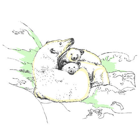 vector illustration of white bears mother and two baby lying on ice floeのイラスト素材