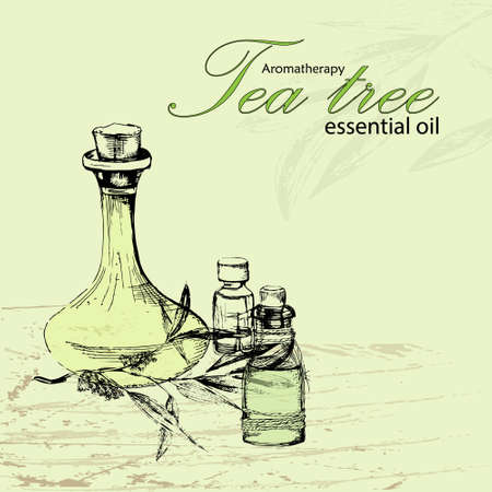 vector illustration of essential oil of tea tree in the style of hand drawnのイラスト素材
