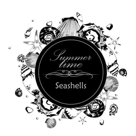 illustration of seashells in the style of hand drawn on the white backgroundのイラスト素材