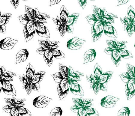 seamless pattern of peppermint in the style of hand drawnのイラスト素材