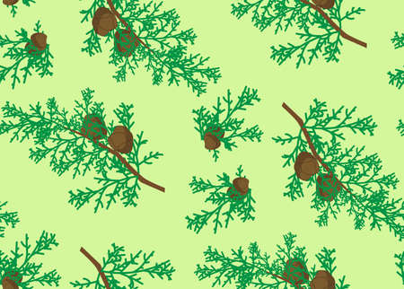 seamless pattern of cypress / concept of aromatherapyのイラスト素材