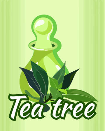 vector illustration of tea tree essential oil bottle / the concept of spa procedure / massage with essential oilのイラスト素材