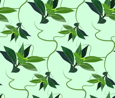 seamless pattern of tea tree essential oil / the concept of cosmetologyのイラスト素材