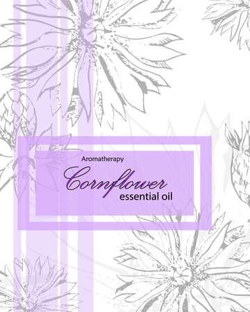 template cover for cosmetic oil of cornflower with frame. SPA concept. Violet backgroundのイラスト素材