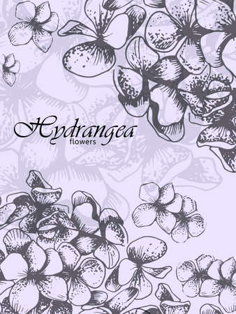 vector floral design. Hydrangea petalsのイラスト素材