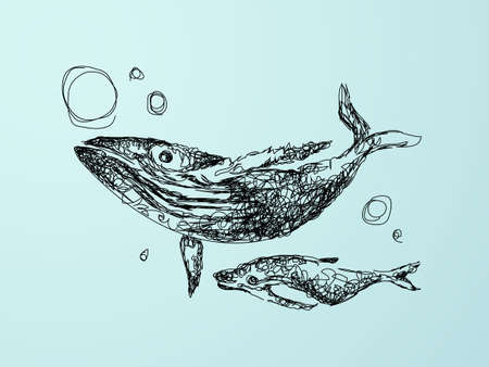 Hand drawn vector sketch of whales. Whale familyのイラスト素材