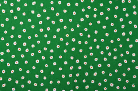 little white flowers on deep green backgroundの写真素材