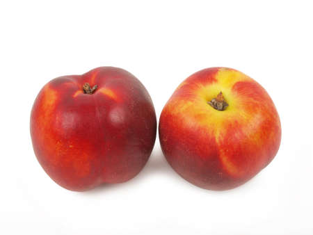 two fresh nectarines isolated on white background       の写真素材
