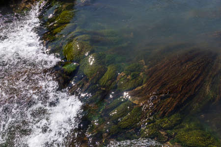 spring colors on the water sourceの写真素材