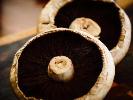 Fresh Flat Mushroomsの写真素材