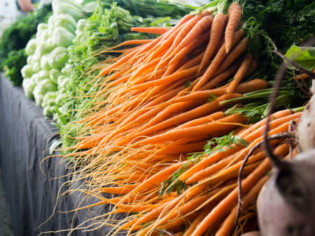 Fresh Baby Carrotsの写真素材