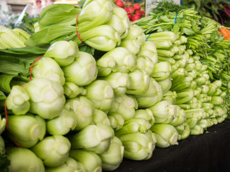 Bok Choyの写真素材