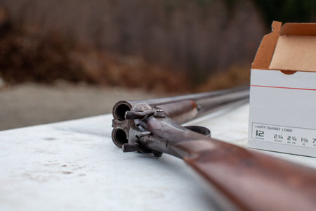An old, vintage, break-action double-barrel shotgun featuring two triggers and two hammers. Placed...