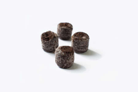 Isolated compacted peat pellets (pod) for seed starting are used by gardeners. Peat is harvested unsustainably and has led to irreversible damage. Coconut coir is a green alternative for germinatingの写真素材