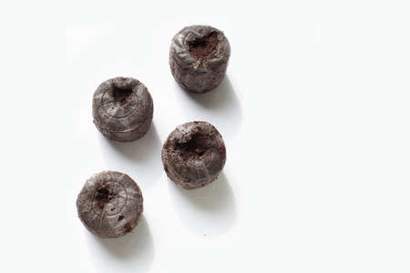 Isolated compacted peat pellets (pod) for seed starting are used by gardeners. Peat is harvested unsustainably and has led to irreversible damage. Coconut coir is a green alternative for germinatingの写真素材